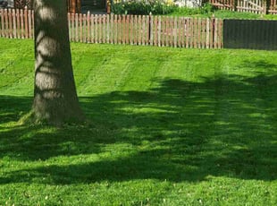 Syd H.'s Lawn Care service result