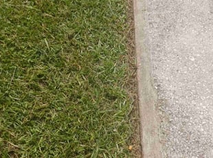 Ranger P.'s Lawn Care service result