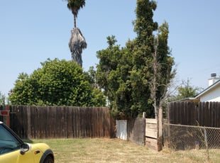 Bush Trimming by Ian Moreland for DeLee B. in Spring Valley, CA