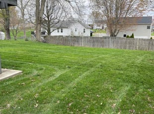 Stan C.'s Lawn Mowing service result