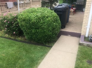 Bush Trimming by Bradley Taylor for Danielle N. in Pittsburgh, PA