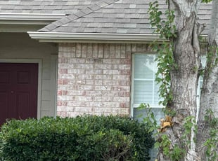 Bush Trimming by M D for Kyle S. in Broken Arrow, OK