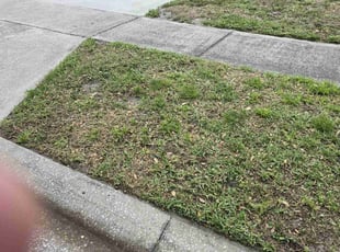 Leaf Removal by Jon Mccormick for Giovanna M. in Lake Mary, FL