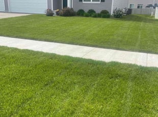 Shannon C.'s Lawn Mowing Service service result