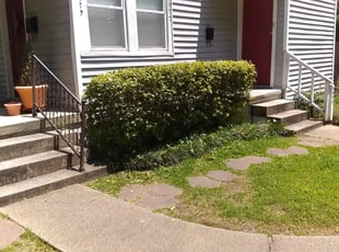 Bush Trimming by Kerry Moliere for Rene G. in New Orleans, LA