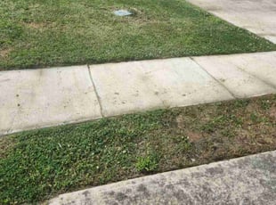 Latoya L.'s Lawn Service service result