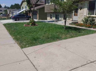 Yasmin S.'s Lawn Mowing Service service result