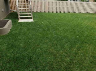 Dawn D.'s Lawn Care service result