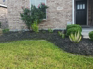 Weeding by Jose Perez for Sarah P. in Cypress, TX