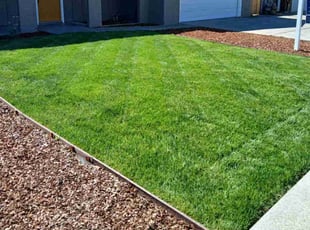 Korinn R.'s Lawn Mowing service result