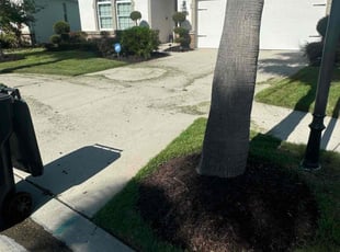 Bernie L.'s Lawn Care service result