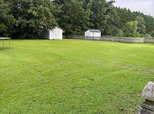 Dwight B.'s Lawn Mowing service result