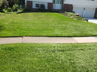 Emily A.'s Yard Cutting service result