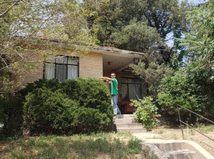 Ken L.'s Bush Trimming service result
