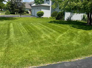Sherry H.'s Lawn Service service result