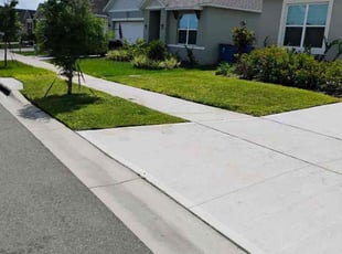 Charslyn C.'s Lawn Care service result