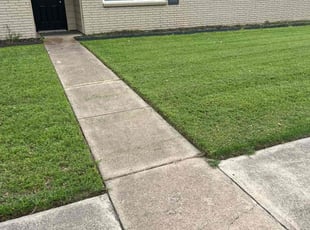 Maureen M.'s Lawn Care service result