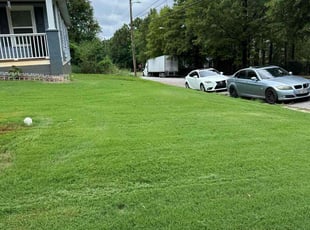 Dan M.'s Lawn Mowing service result