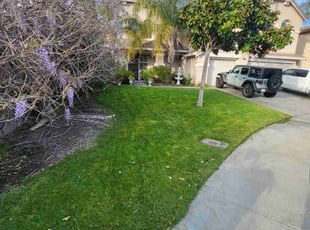 Kevin H.'s Lawn Care service result