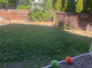 Cleanups by Aaron Fresquez for Sarah C. in Thornton, CO