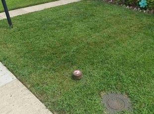 Tammy m.'s Yard Cutting service result