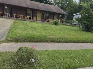 Shamekia J.'s Lawn Service service result