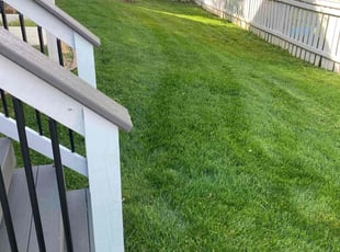 Brea S.'s Lawn Mowing service result