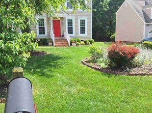 Shazia H.'s Lawn Mowing Service service result