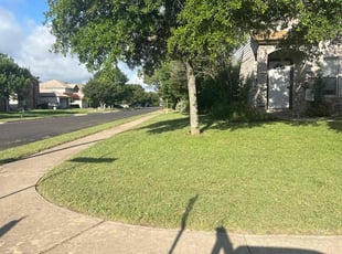 Donna R.'s Lawn Mowing Service service result