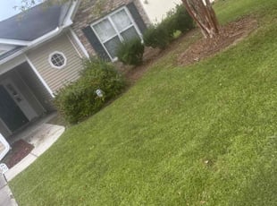 Susan H.'s Grass Cutting service result