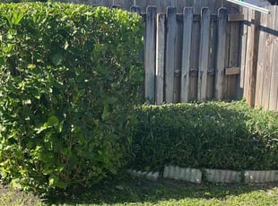 Bush Trimming by Lizett Chava for ELIZABETH F. in Miami, FL