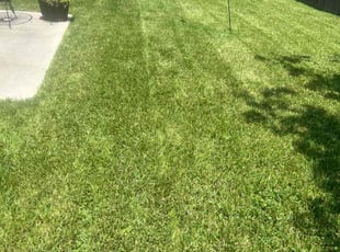 Lazar H.'s Lawn Mowing Service service result