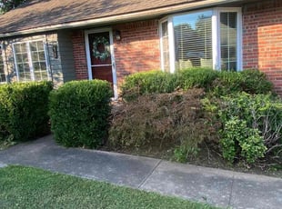 Bush Trimming by Joey Handley for Matthew F. in Tulsa, OK