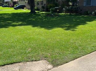 Margaretta P.'s Lawn Mowing service result