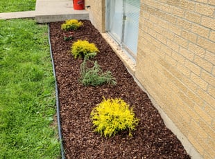 Landscaping by Garrett Howell for Whittney R. in Grandview, MO