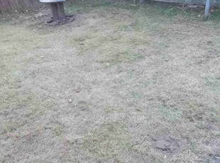 Leaf Removal by Devaughn Eagleson for Tyleek M. in New Kensington, PA