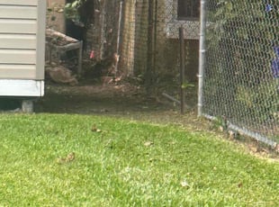 Cleanups by Jesse Hill for Trey . in Norfolk, VA