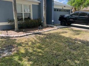 Leaf Removal by Miguel Santana for Kelly F. in Wesley Chapel, FL