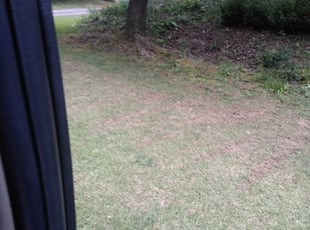 Landscaping by Larry Jones Jr. for Patricia S. in Jonesboro, GA