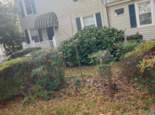 Bush Trimming by Valera Swearngin for Caitlin H. in Norfolk, VA