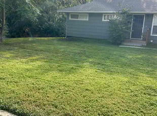 Stephen M.'s Lawn Maintenance service result