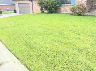 Eileen M.'s Lawn Service service result