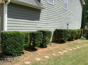 Bush Trimming by Kenneth Pope for Monique E. in Woodstock, GA