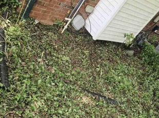 Weeding by Gabriel Greene for Bennie h. in Smyrna, TN