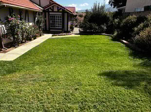 Ray G.'s Lawn Care service result