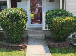 Bush Trimming by Jonathan Adams for Donald K. in Parkville, MD