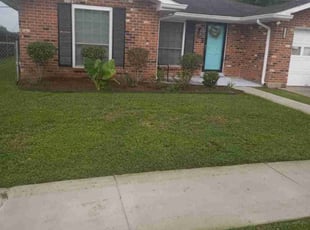 Bush Trimming by Terry Felo for Deltrice P. in Harvey, LA