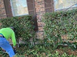 Bush Trimming by Jose Alberto Briones for Delibra W. in Carrollton, TX