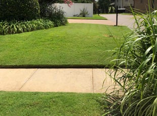 Brian R.'s Lawn Maintenance service result