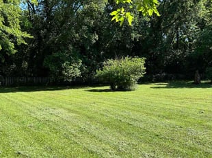 Renee V.'s Lawn Mowing service result